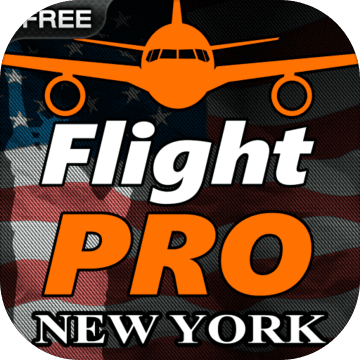 Pro Flight Simulator NY Free加速器