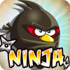 Angry Ninja 2017