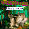 Chipmunks Playground加速器