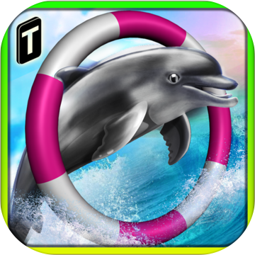 Dolphin Racing 3D加速器