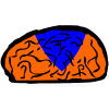 Gênio Quiz DBZ加速器