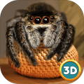 Spider Pet Life Simulator 3D