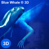 Blue Whale Original 3D