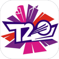 Live T20 Cricket加速器