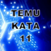 Temu Kata 11加速器