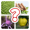 Name that Fruit and Vegetable