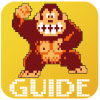 Guide For DonkeyKong加速器