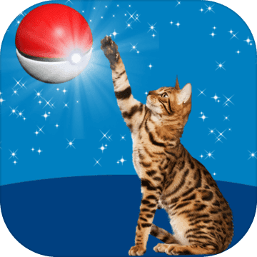 Cat Go! Pocket Cats加速器