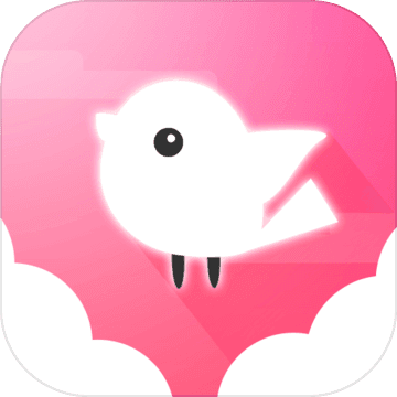 Light Bird加速器