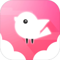 Light Bird加速器