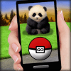 Pocket Pets GO加速器