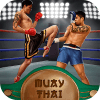 Muay Thai Box Fighting 3D加速器