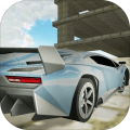Fast Racing Car Driving