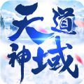 天道神域加速器