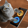 门户网站猫模拟器笑话加速器