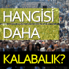Hangisi Daha Kalabalık?