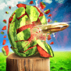 Watermelon Shooter 3D加速器