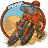 Motorcross dirtbike racing sahara safari