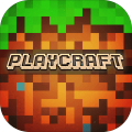 PlayCraft 3D