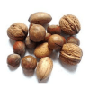 Brazil nuts quiz