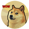 Doge Clicker加速器