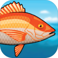 Fishalot - free fishing game加速器