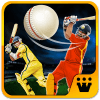 World T20 Cricket Champs 2017加速器