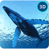 愤怒 蓝色 鲸鱼 模拟器加速器
