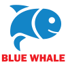 Blue Whale Game