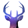 The Deer加速器