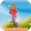 Adventure Shiva Bicycle : Race Run