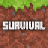 Survival Blocks Exploration加速器