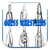 Guess Wrestlers Quiz加速器