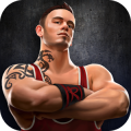 Wrestling Champion 3D