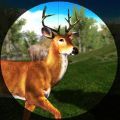 鹿狩猎野生森林与狙击手加速器