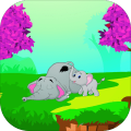 Escape the Elephant Calf