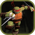 Turtle Jumper Ninja