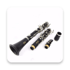 Clarinet Virtual Real