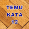 Temu Kata 12加速器