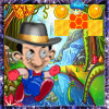 MR pean jungle adventure加速器