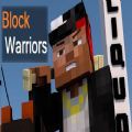BlockWarriors