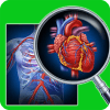 Biology Quiz Pro Challenge Your Knowledge Trivia