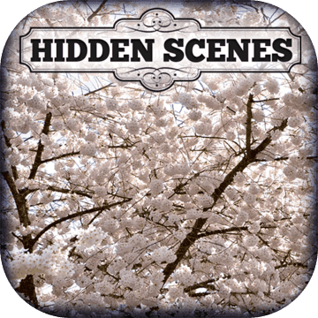 Hidden Scenes First of Spring加速器