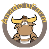 Anadolu Farm加速器