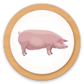 Round Card Animals加速器