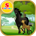 Free spirit horse