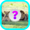 Animal Am I?加速器