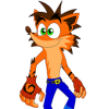 Super Quiz On Bandicoot Game