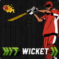 Hit Wicket Cricket 2017 - World Cup League Game
