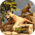 Cougars of the Forest加速器